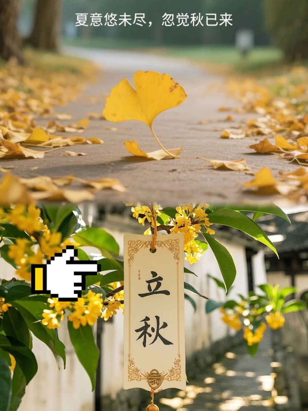娱乐生活 第50页